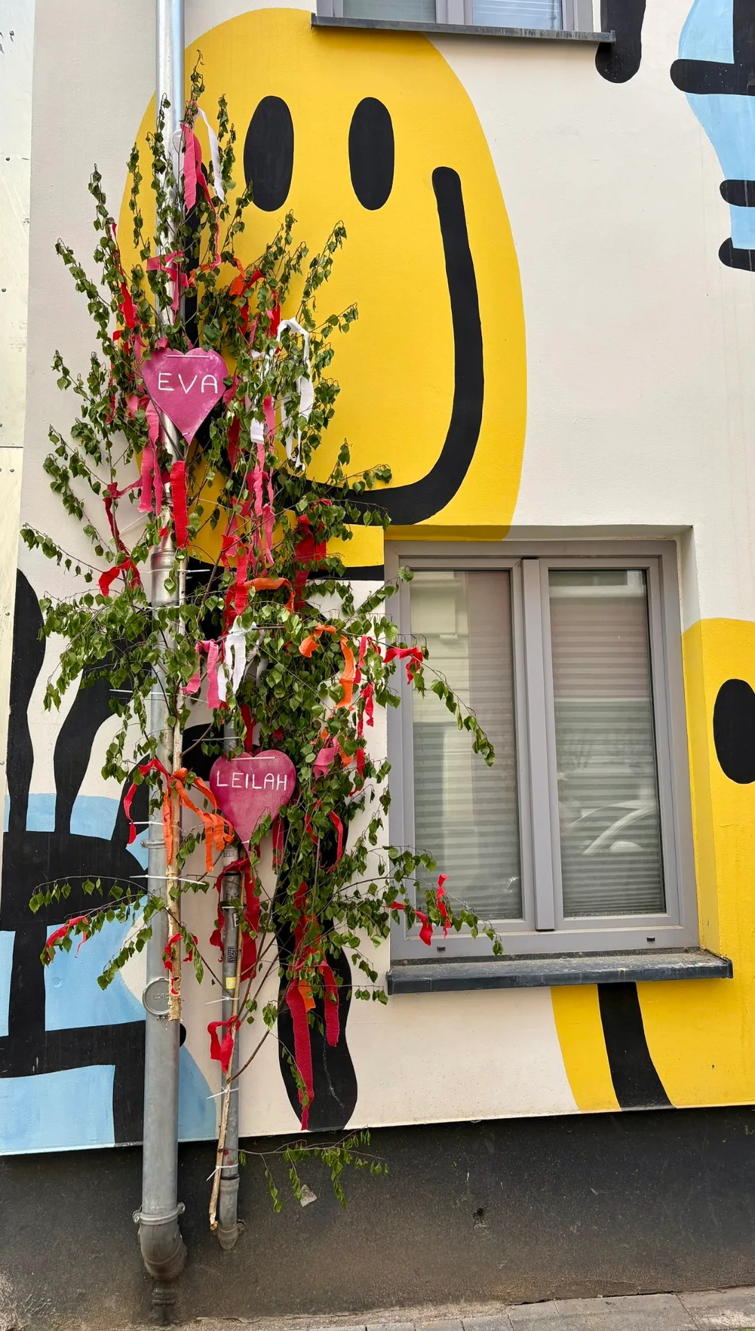 Branche de bouleau déposée pour la tradition du 1er mai à Cologne