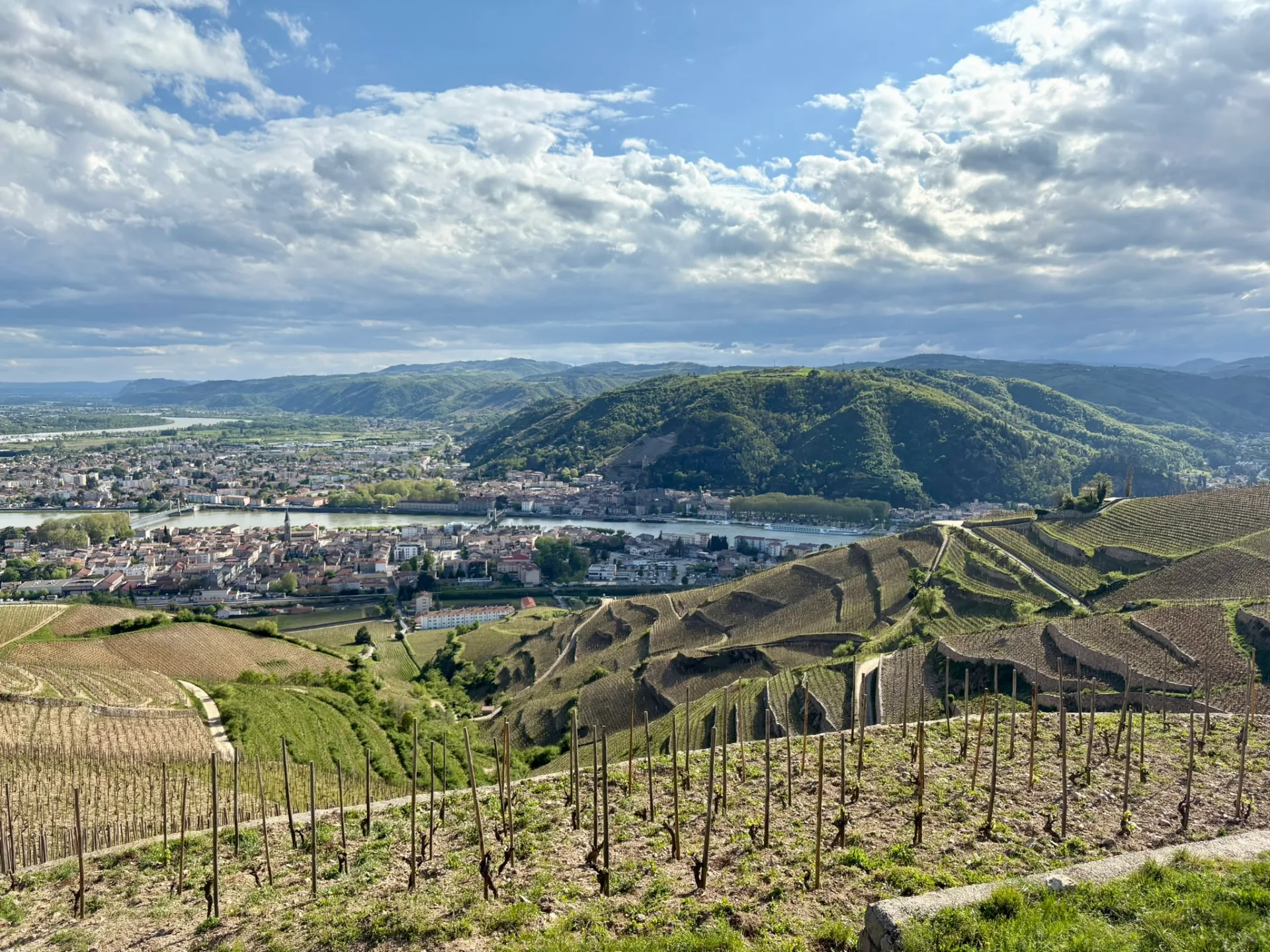 Vue sur les vignes de l'Hermitage depuis la colline de Tain-l'Hermitage