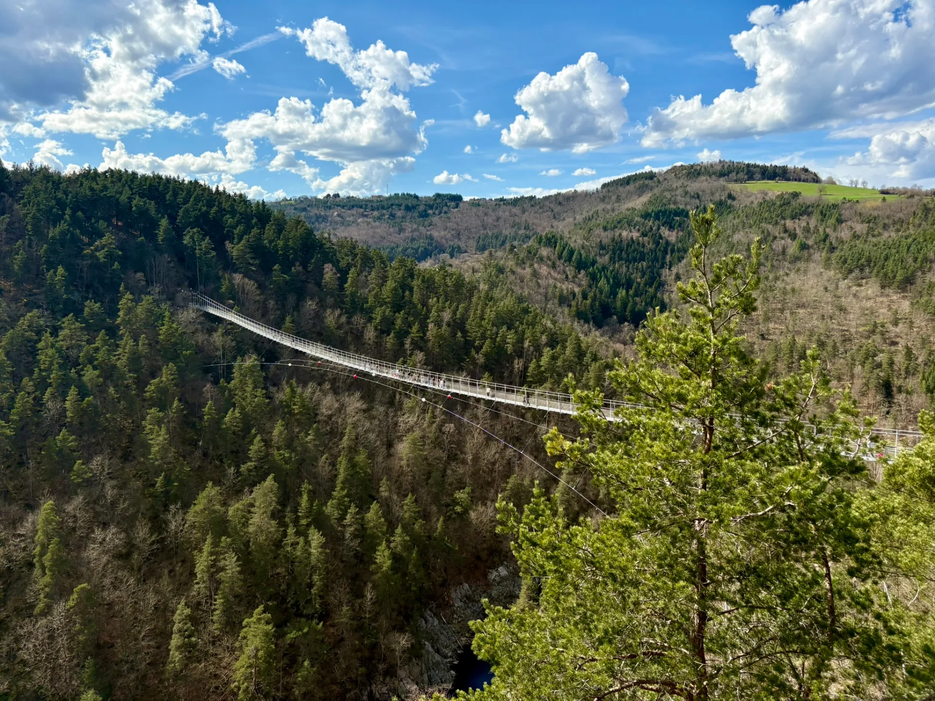 La passerelle himalayenne au-dessus des gorges du Lignon