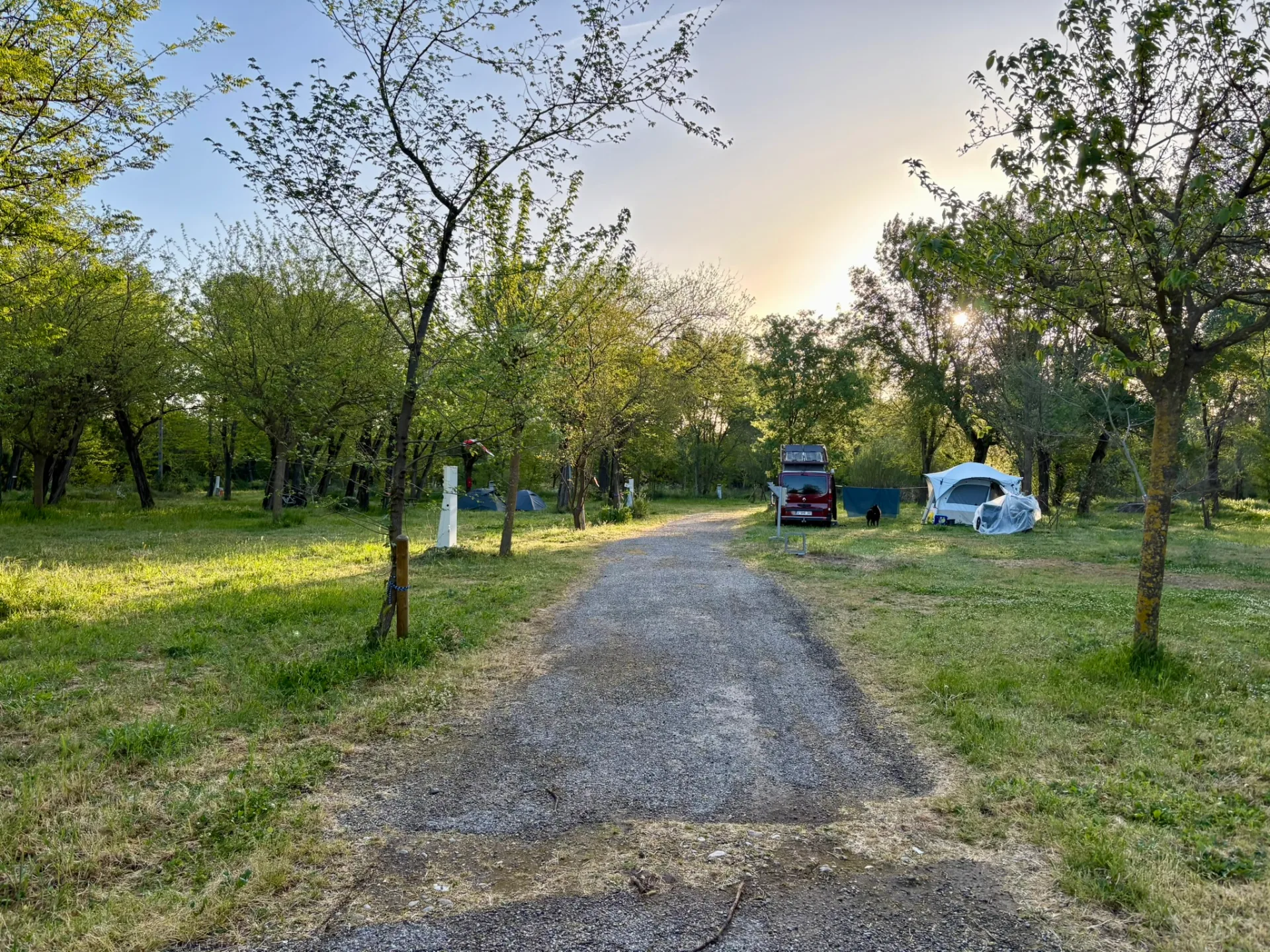 Le camping Mas Sud Ardèche