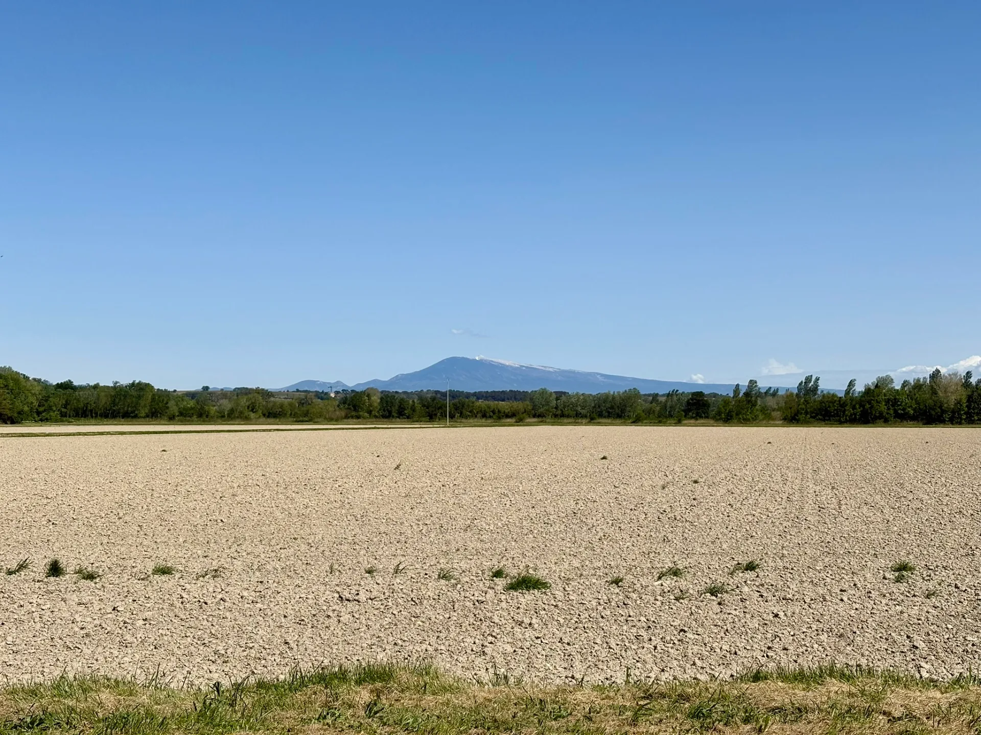 Le mont Ventoux aperçu depuis la Via Rhôna
