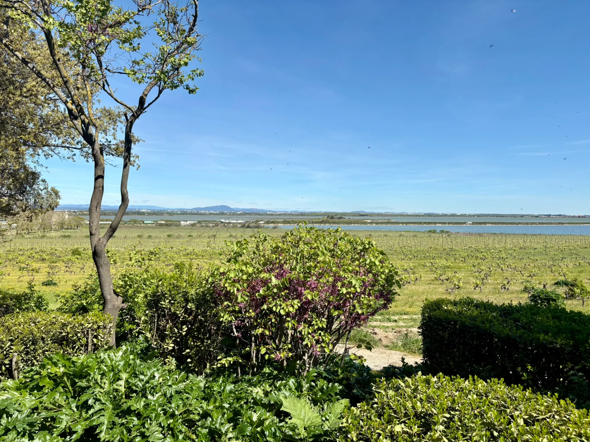 Bord de mer près de Villeneuve-lès-Maguelone